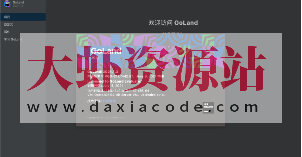 JetBrains GoLand 2021for Mac(商用IDE开发工具)