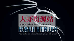 最全的KALI&BT5 linux网络攻防教程