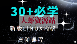 30+程序必学 新版LINUX内核高阶课程
