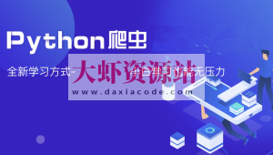 夜猫编程Python爬虫JS逆向进阶课(录播课＋答疑)从零基础到高薪就业编程课