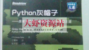 Python灰帽子网络安全实践