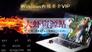 Windows内核安全VIP