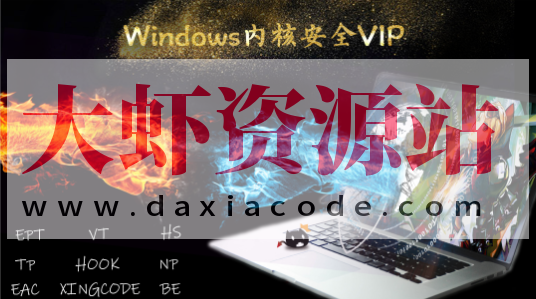 Windows内核安全VIP