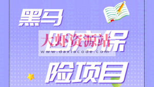 黑马四方保险项目