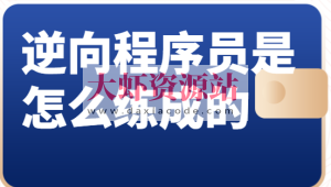 逆向程序员是怎么练成的