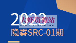 2023 隐雾SRC-01期