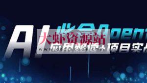 2024Ai必会 Agent(应用解读+项目实战)，一站式搞定Agent应用（71节课）