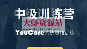 YouCore系统思维中级训练营