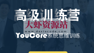 YouCore系统思维高级训练