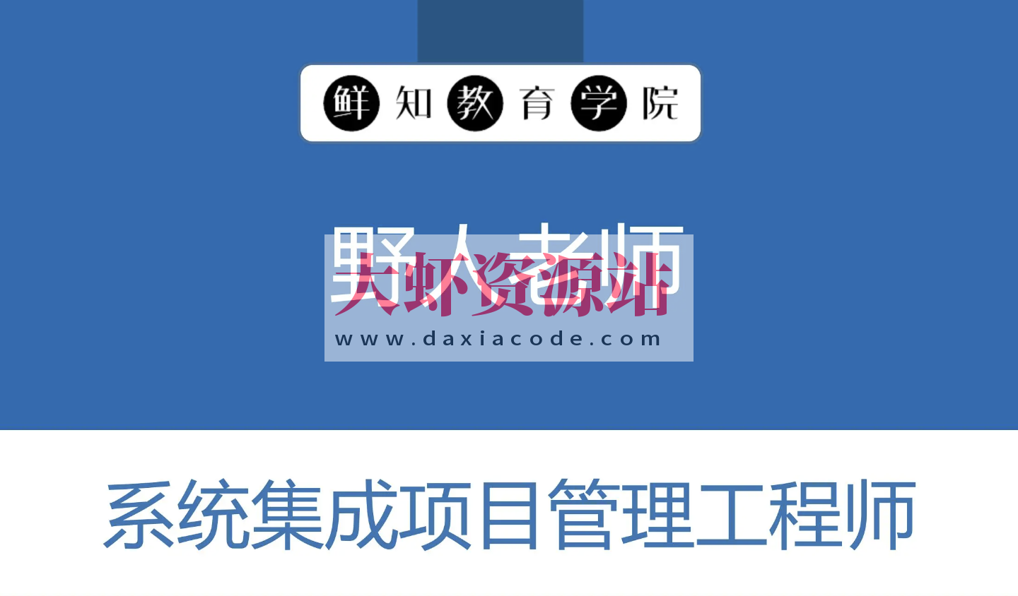 野人老师.202311.软考中级系统集成项目管理工程师