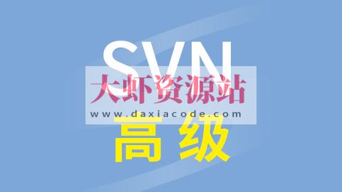 尚硅谷SVN高级视频