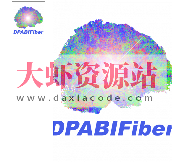 DPABIFIBER脑结构纤维与脑功能融合高阶课程