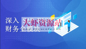 深入浅出学习 SAP S4 HANA FICO 财务全模块