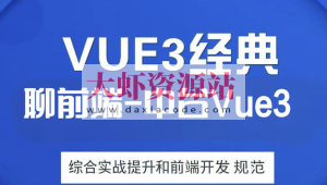 大伟聊前端-互联网大厂企业级中台Vue3综合实战提升和前端开发规范