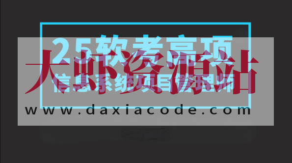 2025野人老师软考高项