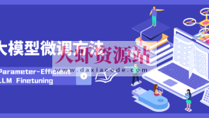 领域大模型微调案例课