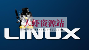 新盟linux中级资料包