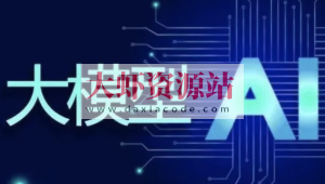 码同学-vip大模型AI课程