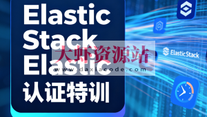 Elastic Stack Elastic认证特训