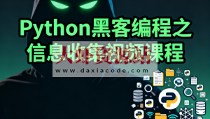 Python黑客编程之信息收集视频课程