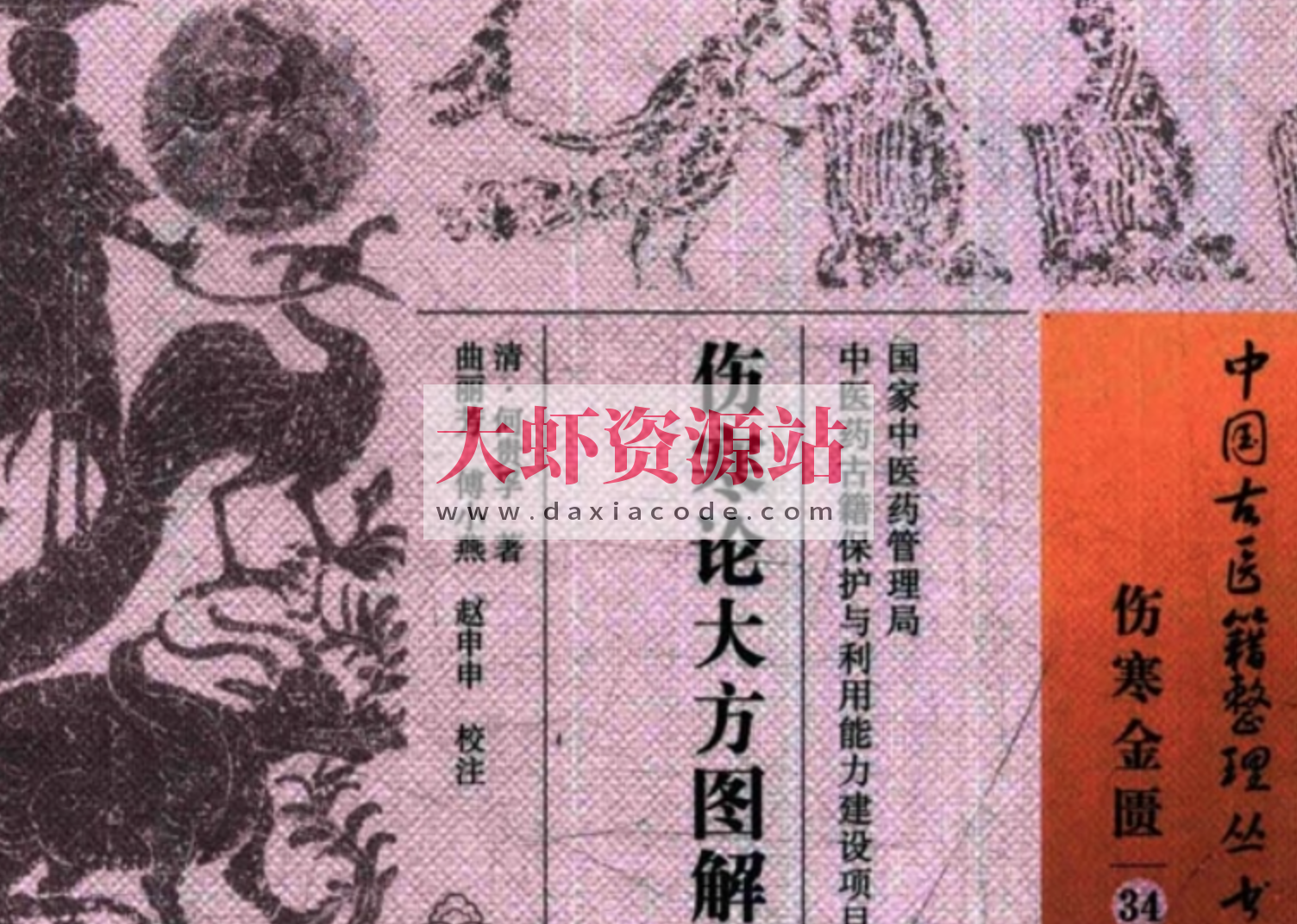 抖音爆火的画出来的伤寒论《伤寒论大方图解》