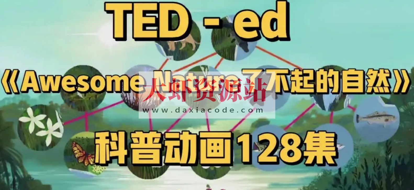 TED-ed系列科普动画《了不起的自然 Awesome Nature》