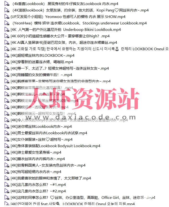 韩国美女内衣丝袜换衣视频4K合集 28.5G